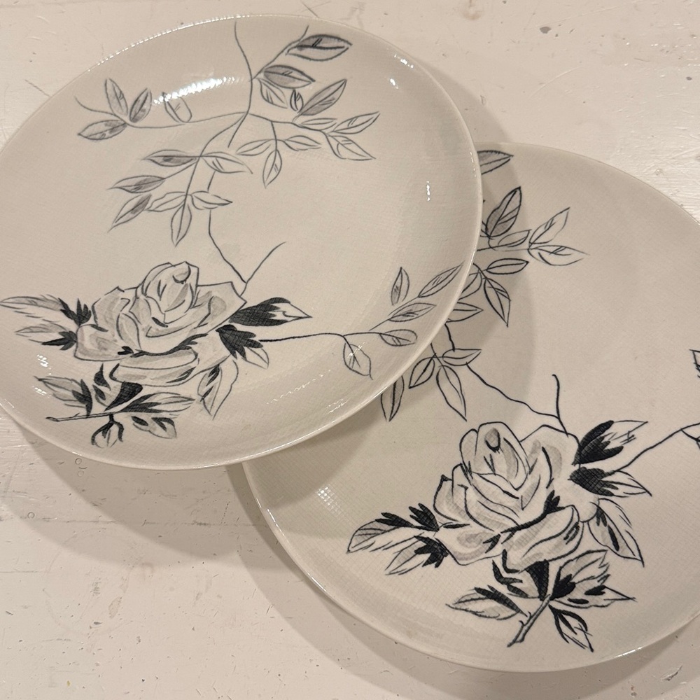 Red Wing Pottery Midnight Rose dinner plates. Set of 2. Excellent condition.